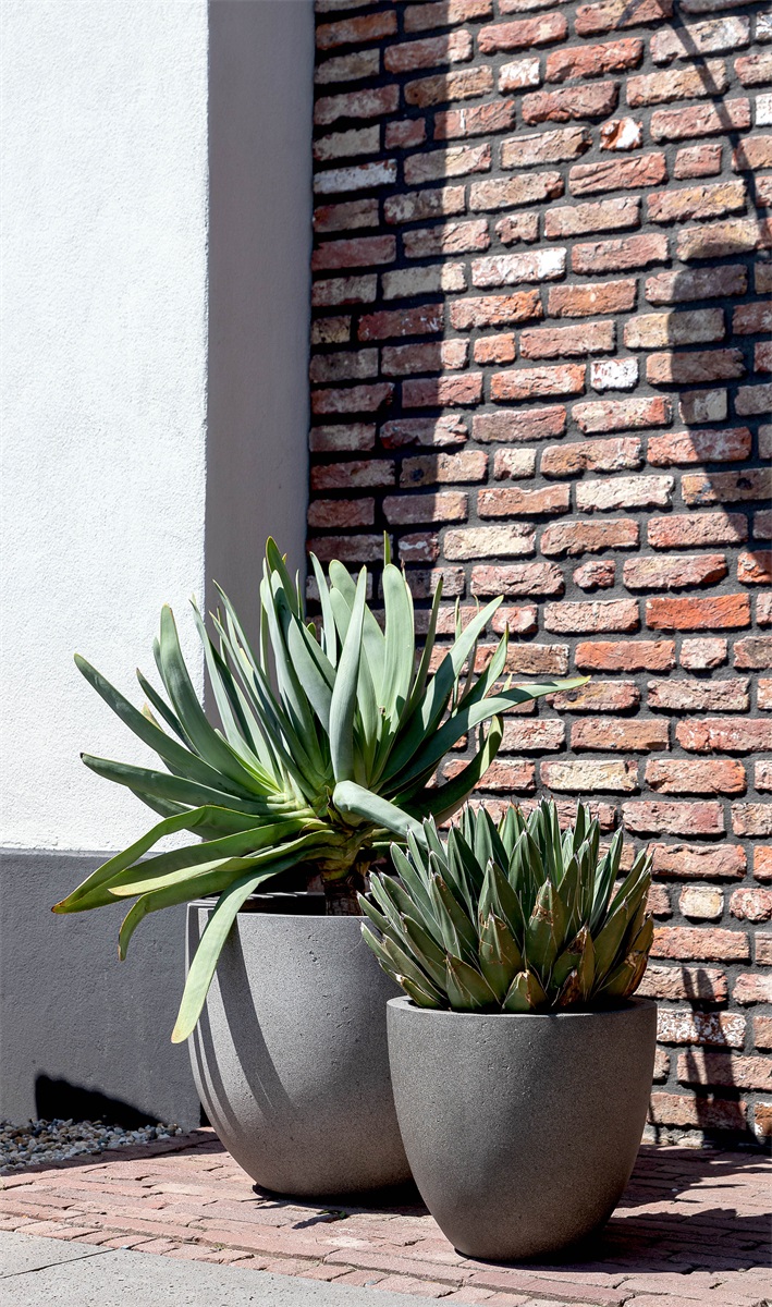 Luca Lifestyle | Pflanzgefäß Grigio New Egg Pot 55×46 | Naturbeton