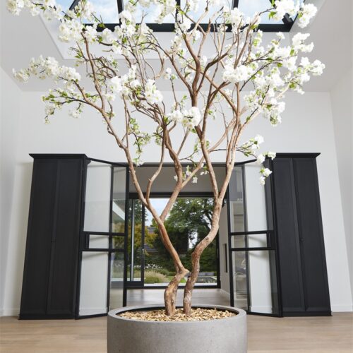 Luca Lifestyle | Pflanzgefäß Grigio New Egg Pot Low 80×47 | Naturbeton