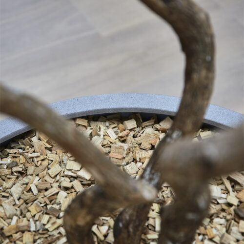 Luca Lifestyle | Pflanzgefäß Grigio New Egg Pot Low 80×47 | Naturbeton