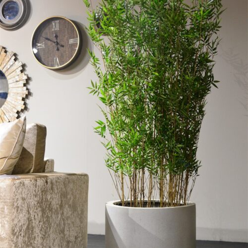 Luca Lifestyle | Pflanzzylinder Grigio Cylinder 60×41 | Antikweiß