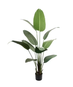Kunstpflanze Banane Grün · 160 cm