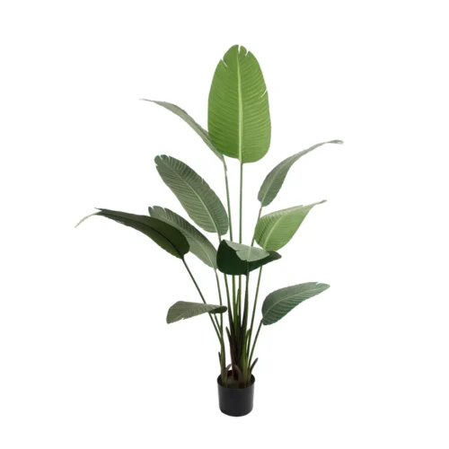 Kunstpflanze Banane Grün · 160 cm